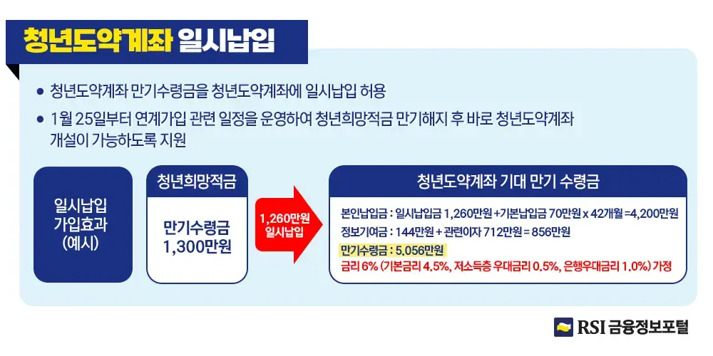 청년도약계좌일시납입